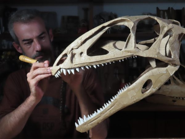 paleocarton_santiago-reuil